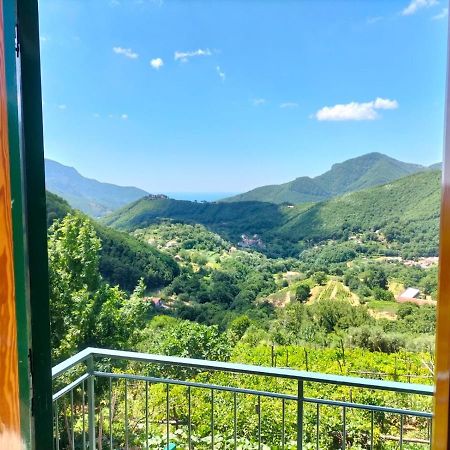 La Casa In Vigna Villa Tramonti Dış mekan fotoğraf